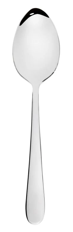 Stanley Rogers Albany Stainless Steeldessert Spoon
