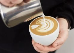 CASABARISTA STAINLESS STEEL MILK FROTHING JUG 600ML -Kitchen Sale Shop Pouring four tier tulip white ceramic stainless pitcher cgtla